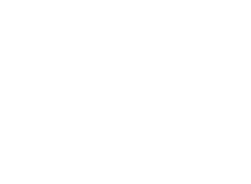 GOVERNANCE 企業統治 強くしなやかな組織